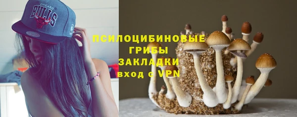 ПСИЛОЦИБИНОВЫЕ ГРИБЫ Заводоуковск