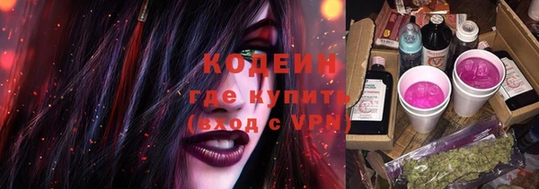 ПСИЛОЦИБИНОВЫЕ ГРИБЫ Заводоуковск