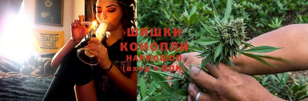 ПСИЛОЦИБИНОВЫЕ ГРИБЫ Заводоуковск